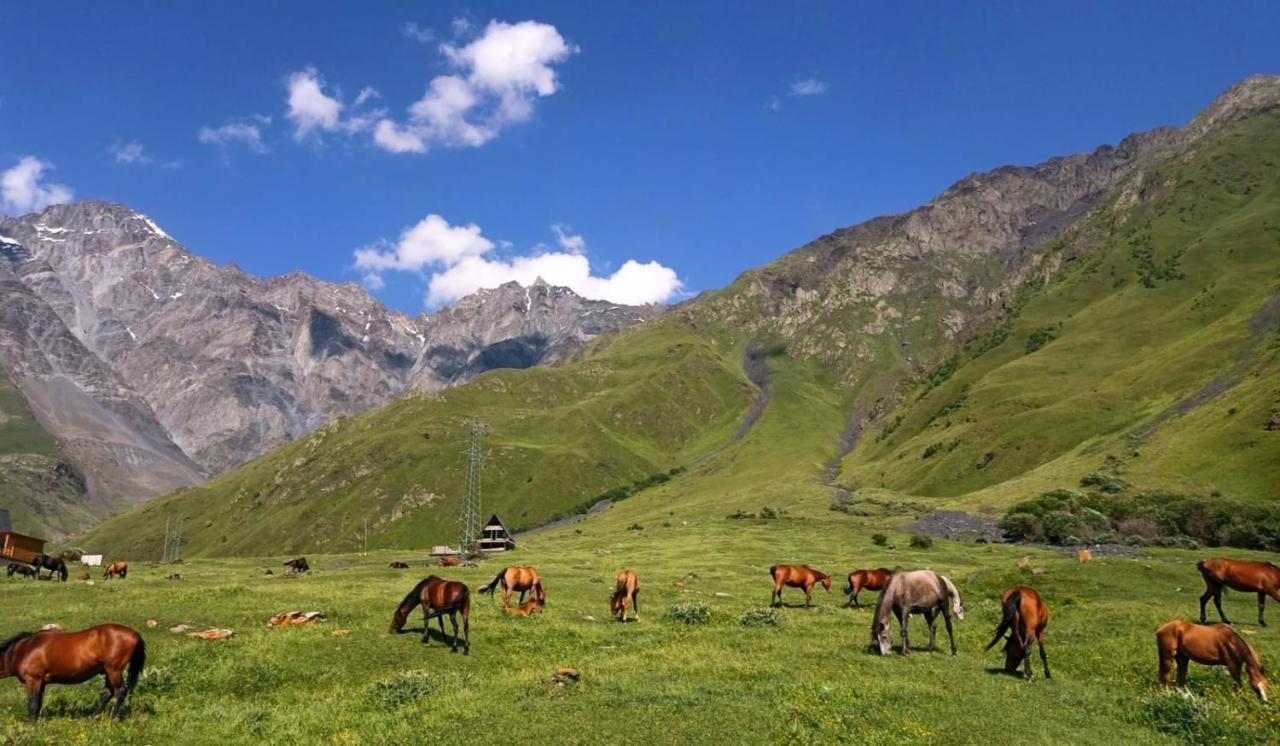Mountain Flower Cottage Kazbegi Ngoại thất bức ảnh