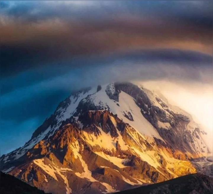 Mountain Flower Cottage Kazbegi Ngoại thất bức ảnh
