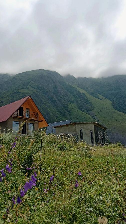 Mountain Flower Cottage Kazbegi Ngoại thất bức ảnh